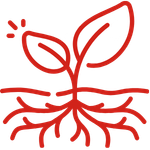 Wspomagaukorzenianie